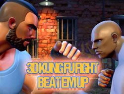 3D KUNG FU FIGHT BEAT EM UP