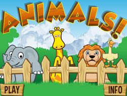 Animals