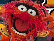 Animal's Beat Craze