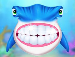 Aqua Fish Dental Care