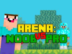 Arena: Noob vs Pro