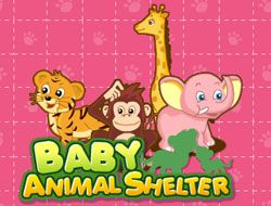 Baby Animal Shelter