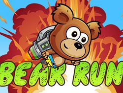 Bear Run