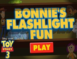 Bonnies Flashlight Run