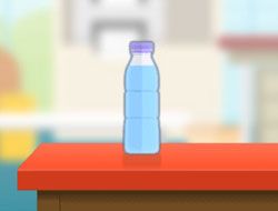 Bottle Flip Challenge