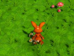 Bunny Adventures 3D