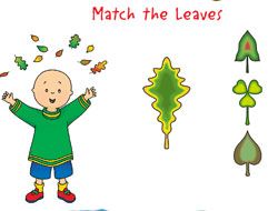 Caillou Match the Leaves