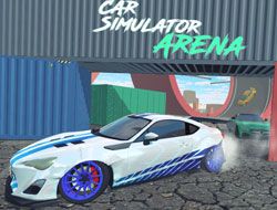 Car Simulator Arena