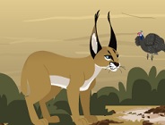 Caracal Leap