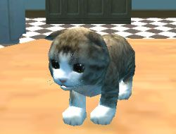 Cat Simulator Kitty Craft