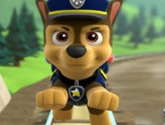 Chase Paw Patrol Differences