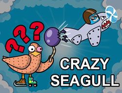 Crazy Seagull