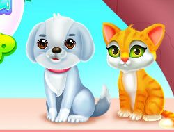 Cute Pets Caring And Dressup