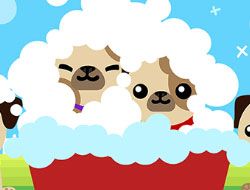 Cutie Pugs Bath Time