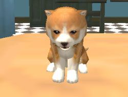 Dog Simulator Puppy Craft