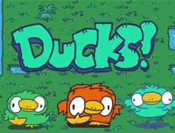 Ducks