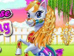Fairy Pony Horse Mane Braiding Salon
