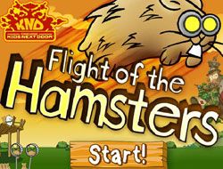 Flight of the Hamsters