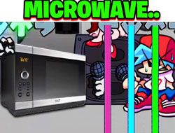 FNF Vs Microwave