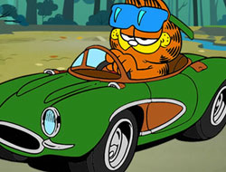 Garfield Hidden Car Tires