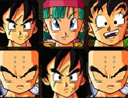 Goku Memory