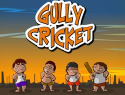 Gully Cricket