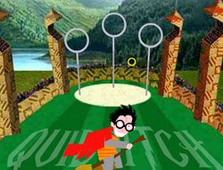 Harry Potter Quidditch