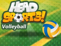 Head Sports Volleyball