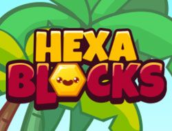 Hexa Blocks