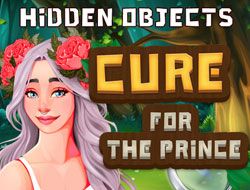 Hidden Objects Cure For The Prince
