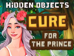 Hidden Objects Cure For The Prince