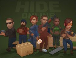 Hide Online