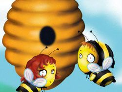 Honey Combs