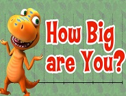 How Big Are You?