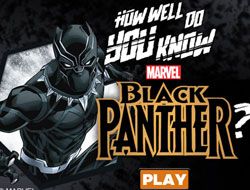 How Well Do You Know Black Panther