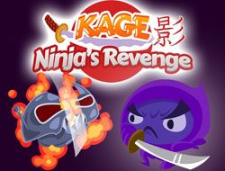 Kage Ninjas Revenge