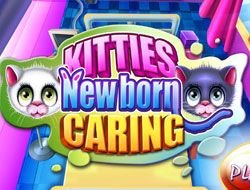 Kitties Newborn Caring
