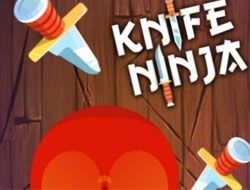 Knife Ninja