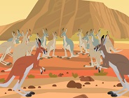 Kratt Brothers and the Kangaroos