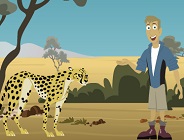 Kratts and the Cheetas