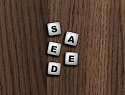 Letter Scramble