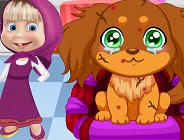 Masha Dog Surgery