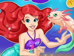 Mermaid Pet Shop