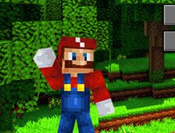 Minecraft Super Mario Edition