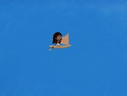 Moana Go