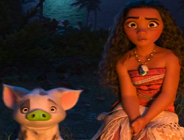 Moana Spot 6 Diff