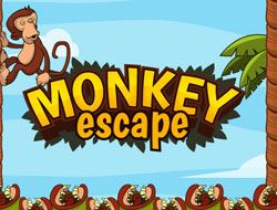 Monkey Escape