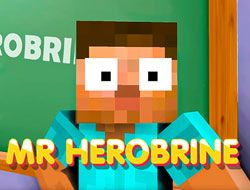 Mr Herobrine