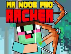 Mr. Noob Pro Archer