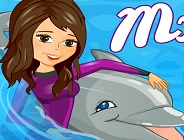 My Dolphin Show